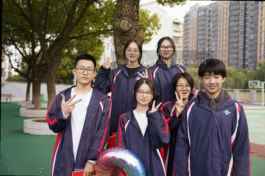 五类常见问题按访问、下载、安装、账号与反馈分区归档的抽象格状示意图